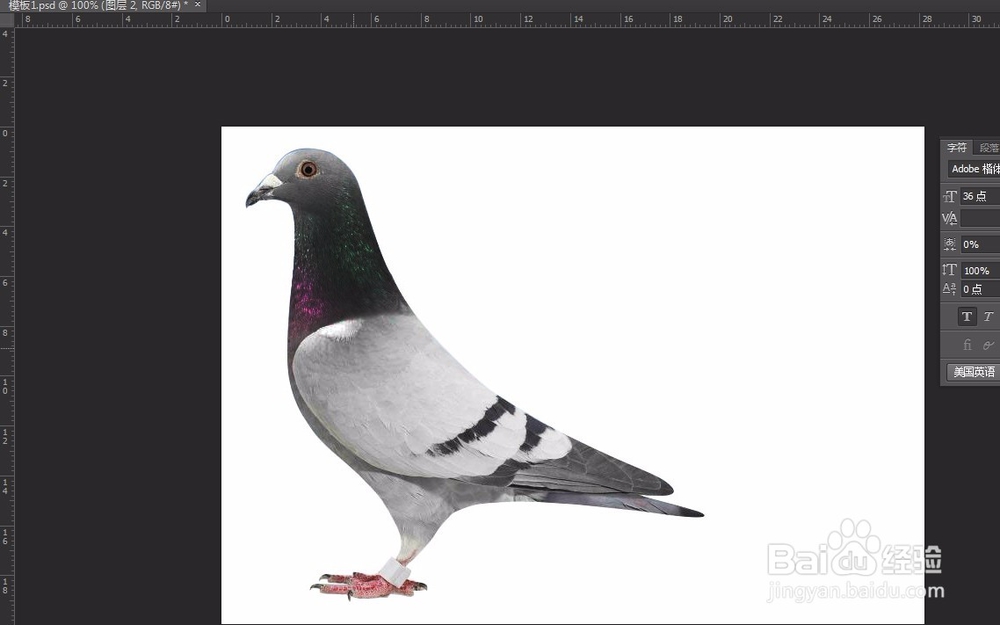 ps新手教学 必学7