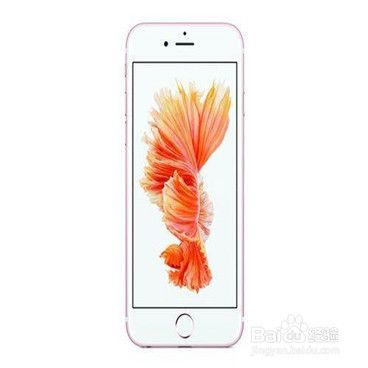 如何把iphone数据导入新iphone 百度经验