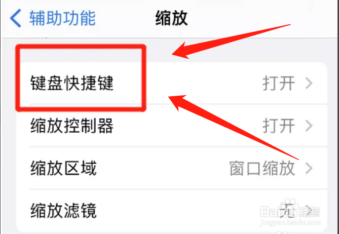 如何开启iPhone切换缩放方式功能