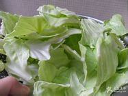 怎样做白菜炖粉条