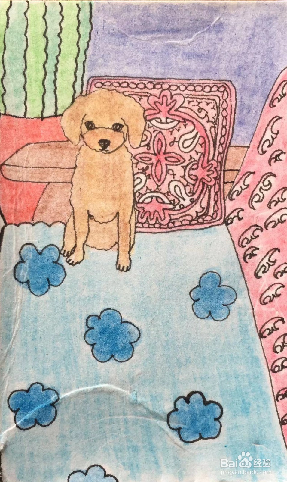 彩铅画教程之沙发上的泰迪犬