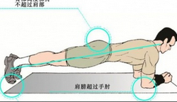 初学者怎样练出完美腹肌