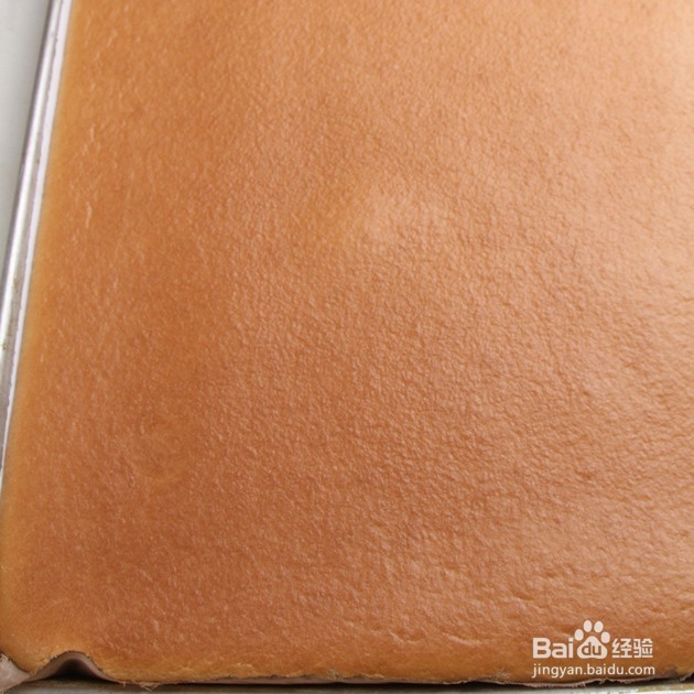 蛋糕卷之kitty猫