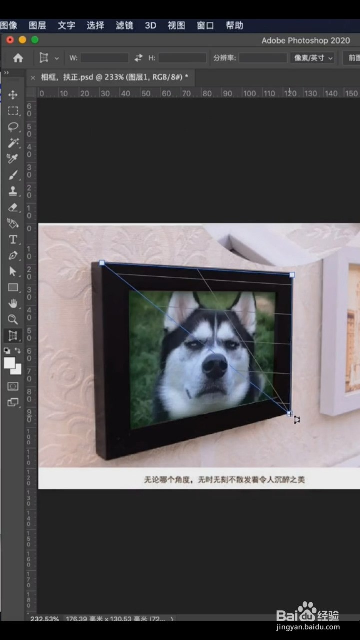 Ps中如何扶正照片？
