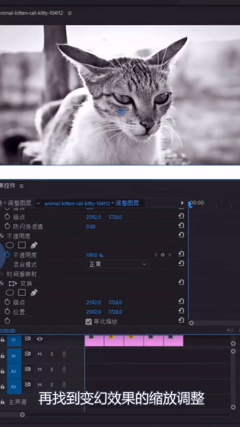 教你pr制作缩放卡点效果