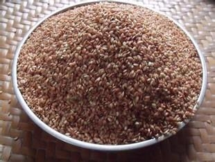 男人秋季养生 海参粥提高性能力食疗