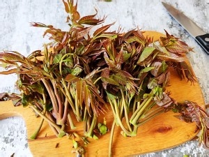 健康养生佳品炸香椿鱼儿的做法