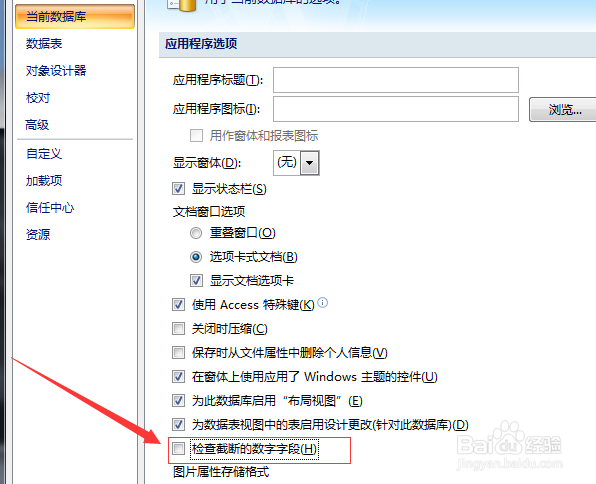 Microsoft Office Access当前检查截断数字字段