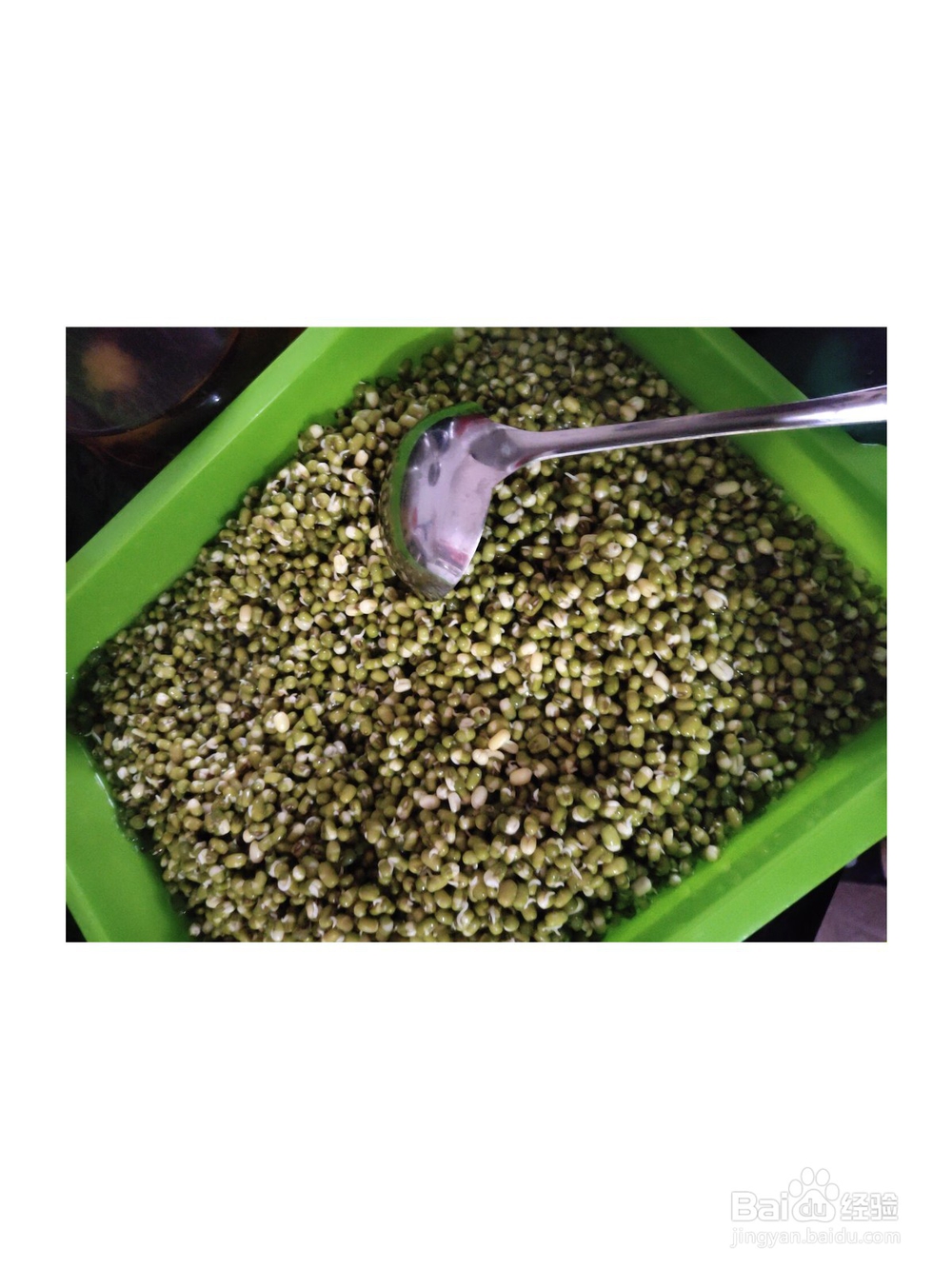 自制家常绿豆糕