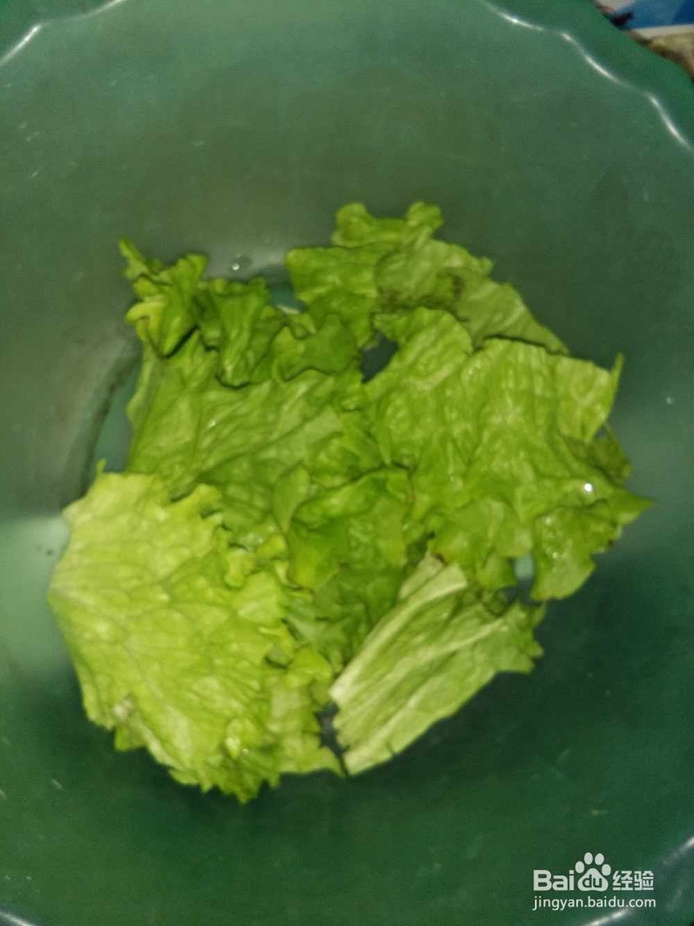春季减肥——胭脂萝卜生菜煎蛋沙拉