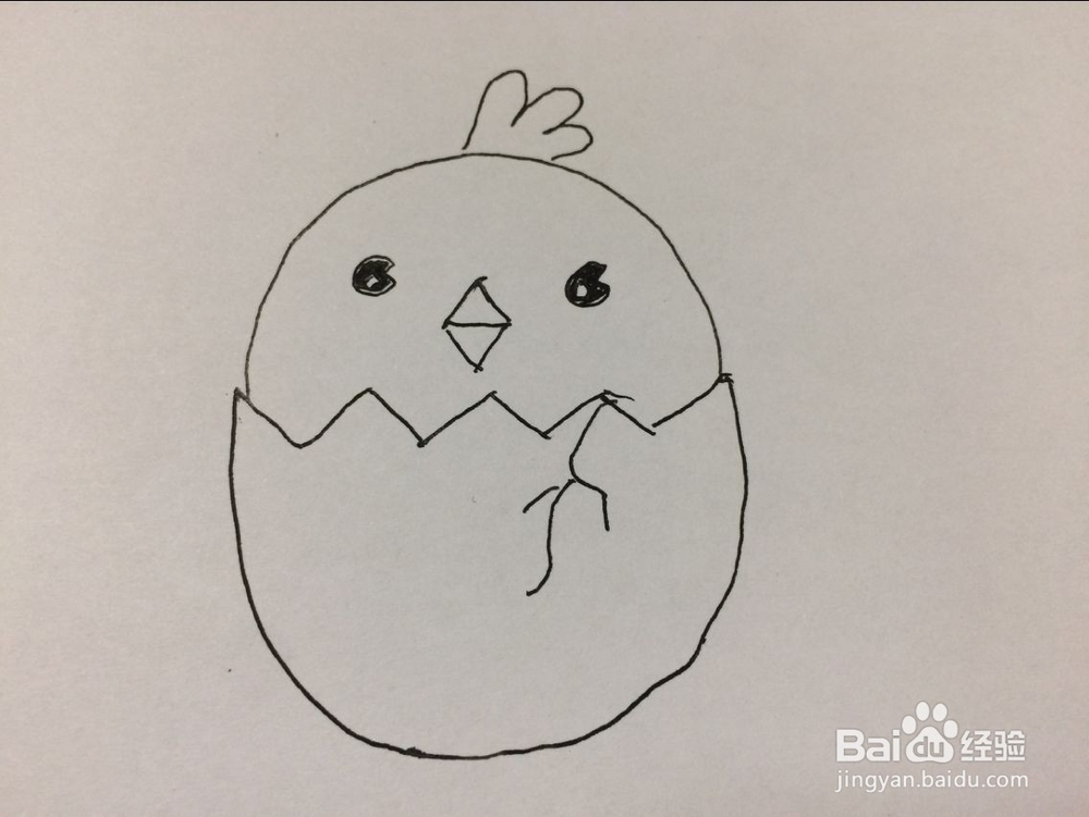 小鸡宝宝简笔画方法步骤图