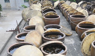 西瓜豆鼓的加工技术