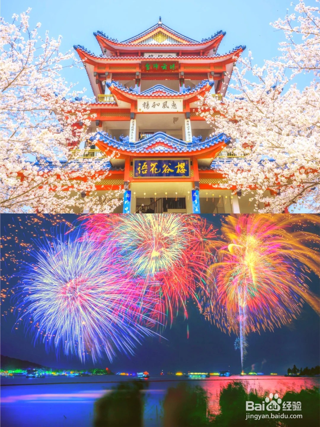 无锡鼋头渚赏樱旅游攻略