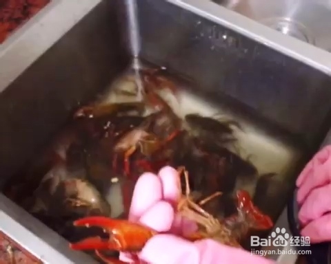 香气浓郁的小龙虾