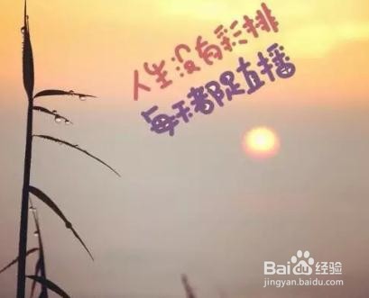 如何规划有限的人生