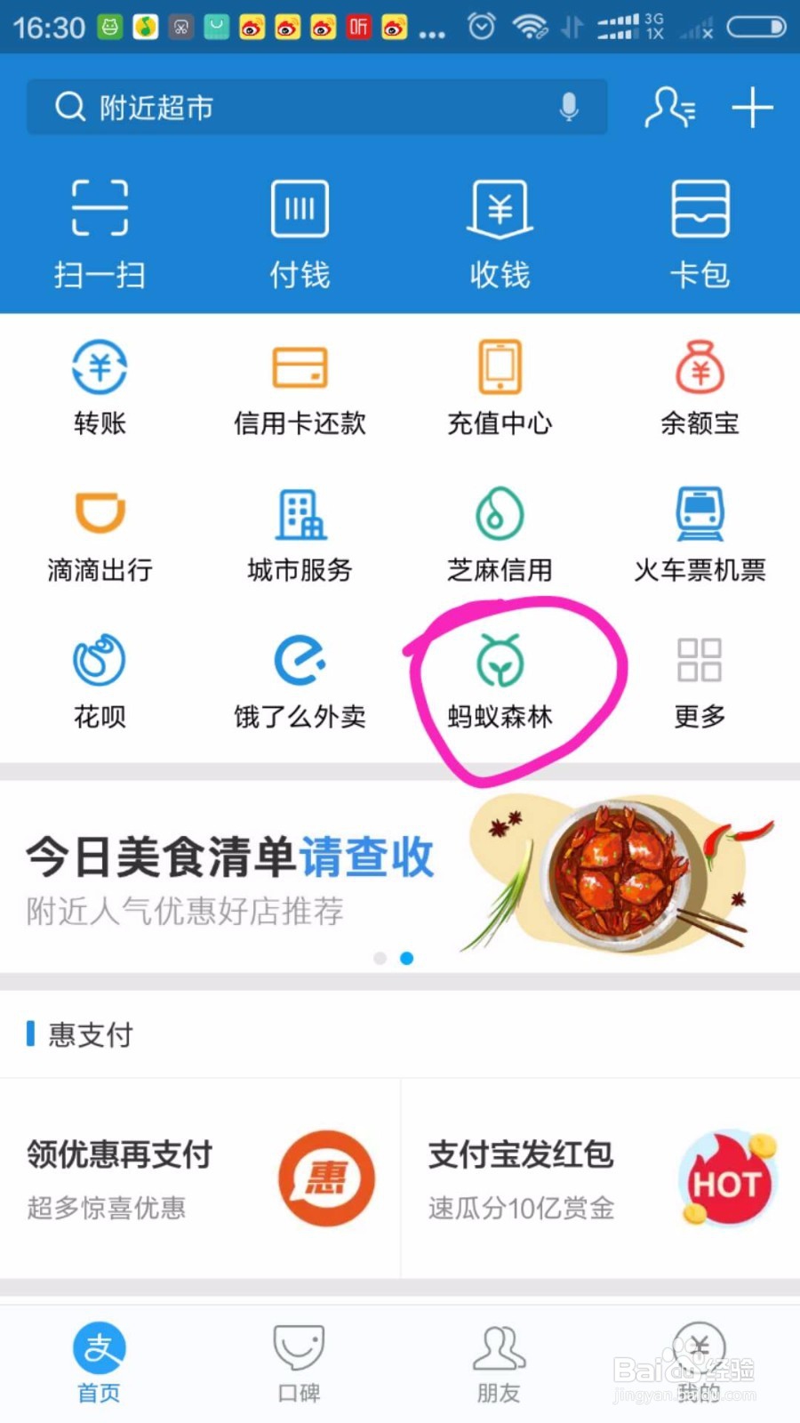 怎样把【蚂蚁森林】放到支付宝的首页