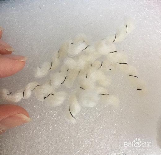 简单好看的泰迪犬羊毛毡diy教程