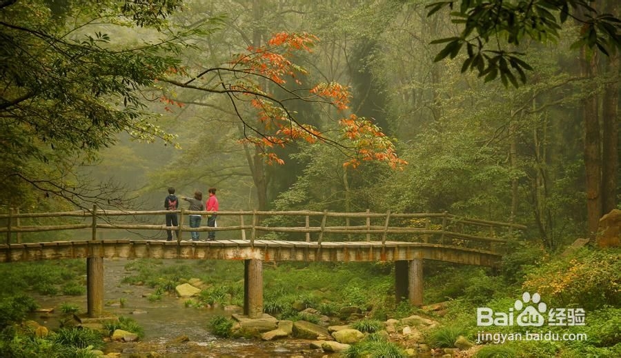 张家界纯玩自助游攻略