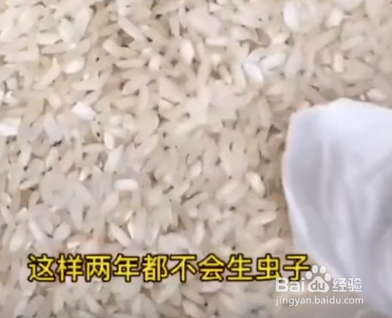 教你让大米不会生虫子的小妙招