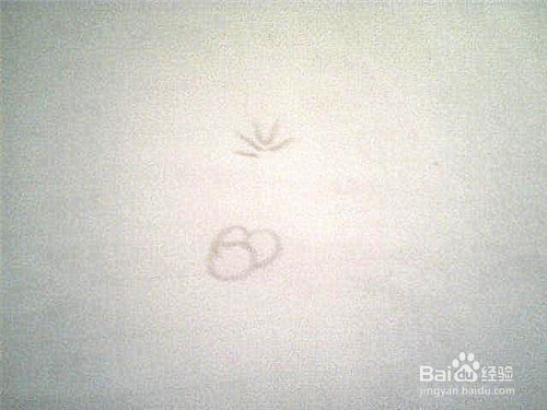 简笔画草地: