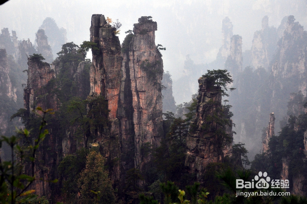 廊坊到张家界自驾游