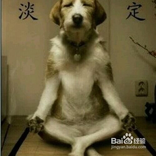 台湾地震---地震时该如何保护自己