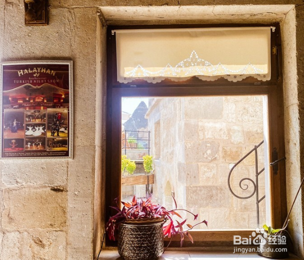 土耳其恋猫之国月落星沉你是黎明时分的光。