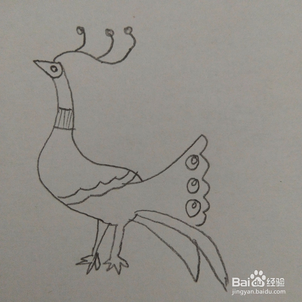 儿童趣味简笔画孔雀的画法