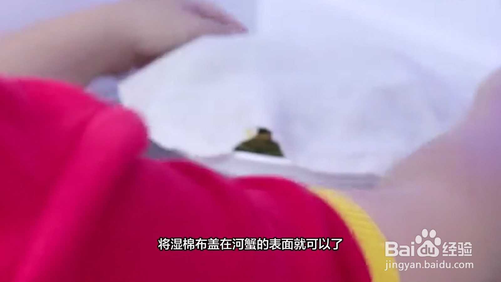 河蟹如何保存