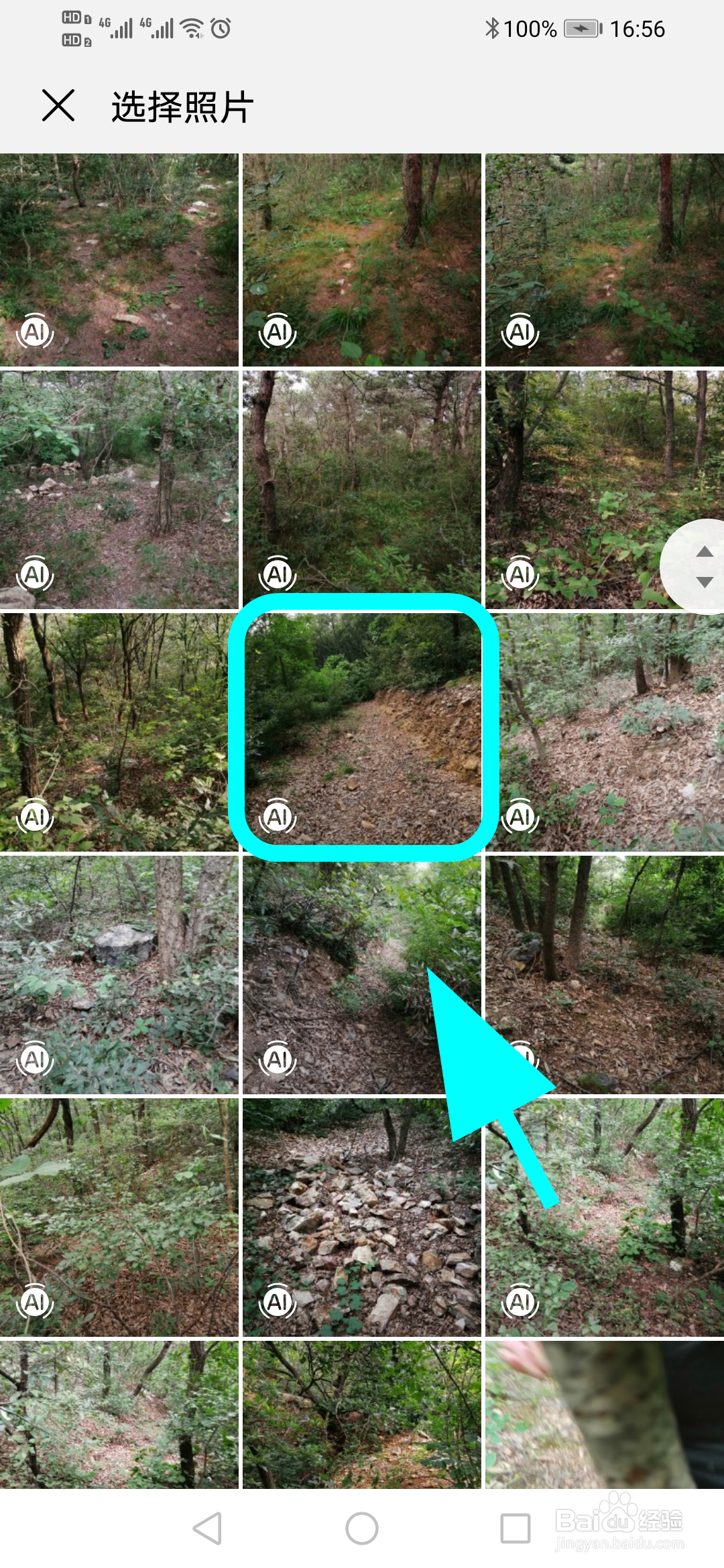 华为手机怎么将照片设为壁纸，照片作为桌面壁纸