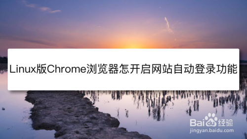 Linux版Chrome浏览器怎么开启网站自动登录功能