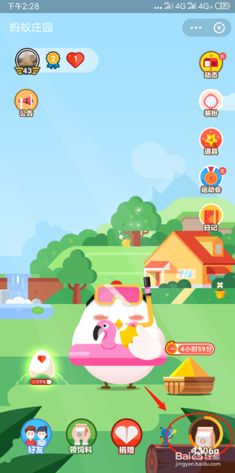 支付宝蚂蚁庄园快速养鸡攻略——1天两个蛋！