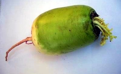 怎么做减肥美食----心里美萝卜拌凉菜