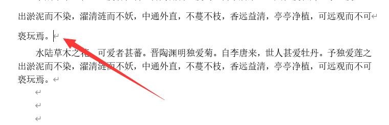 word空白行删不掉