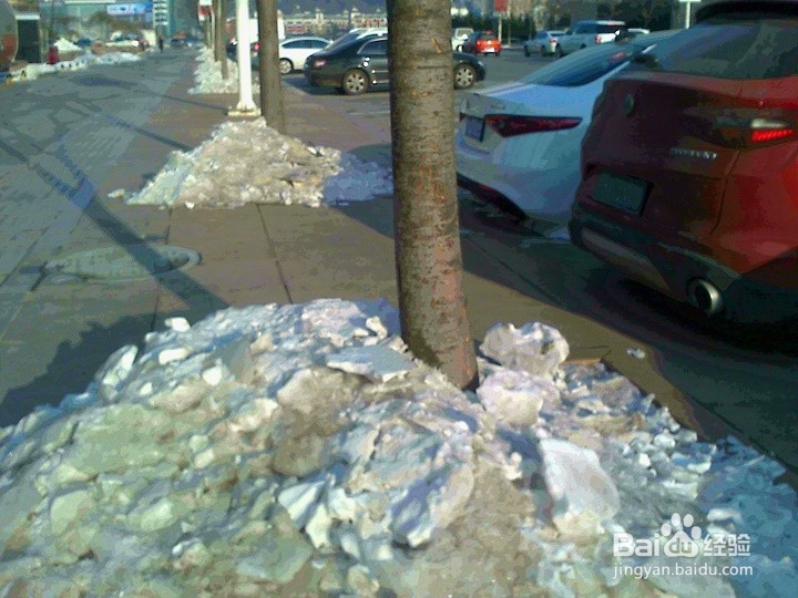 树木的根为什么用雪堆保护