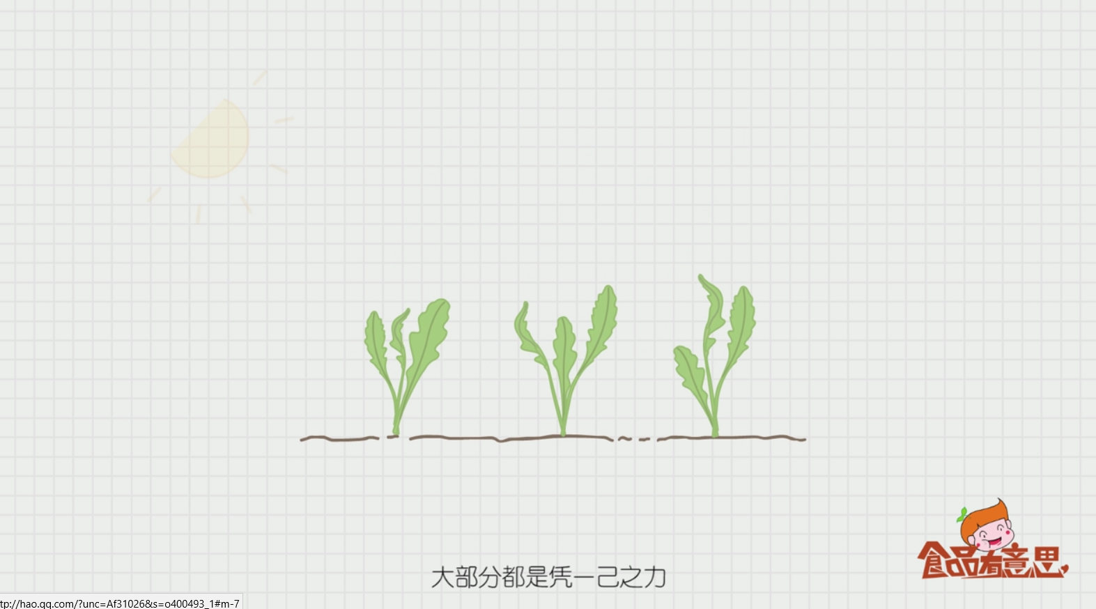 如何区别野菜与绿色食品