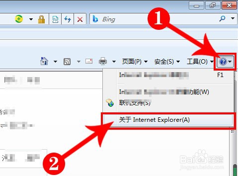 教你用注册表将IE浏览器升级为9.0版本
