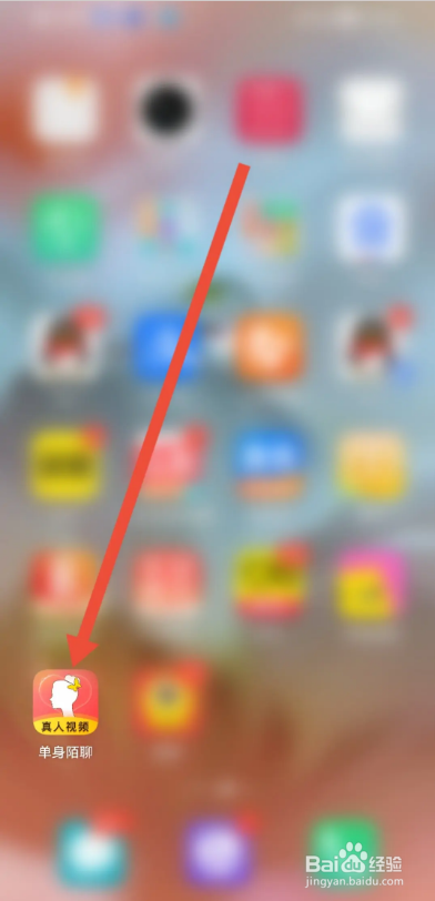 如何使用单身陌聊APP查看平台规范?