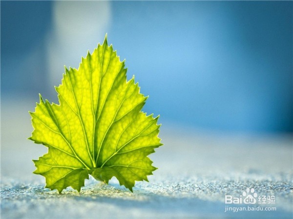 如何化解生活中的尴尬