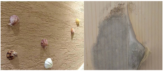 硅藻泥与油漆对比性能价格方面如何