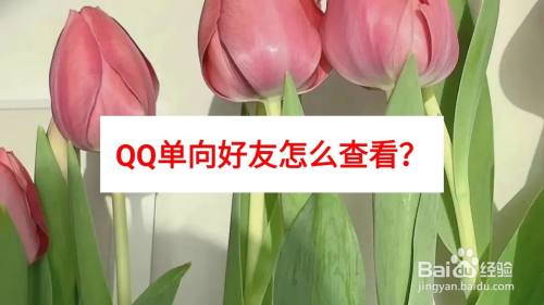 QQ单向好友怎么查看