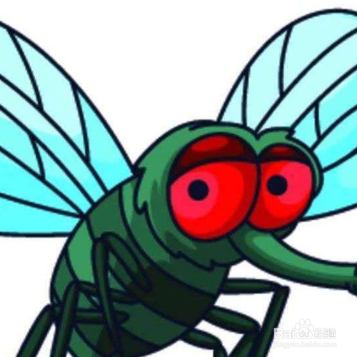 驱赶苍蝇最有效的方法