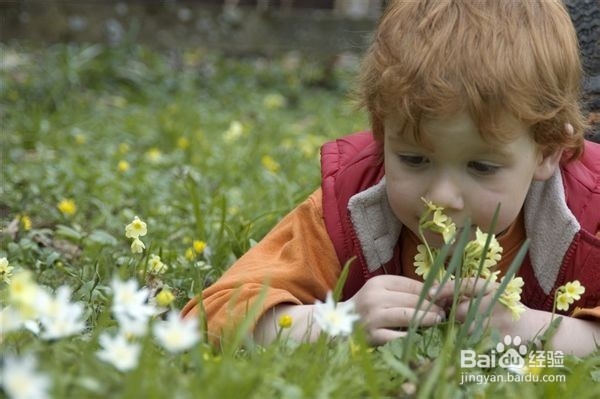 宝宝春季出游，该注意什么？