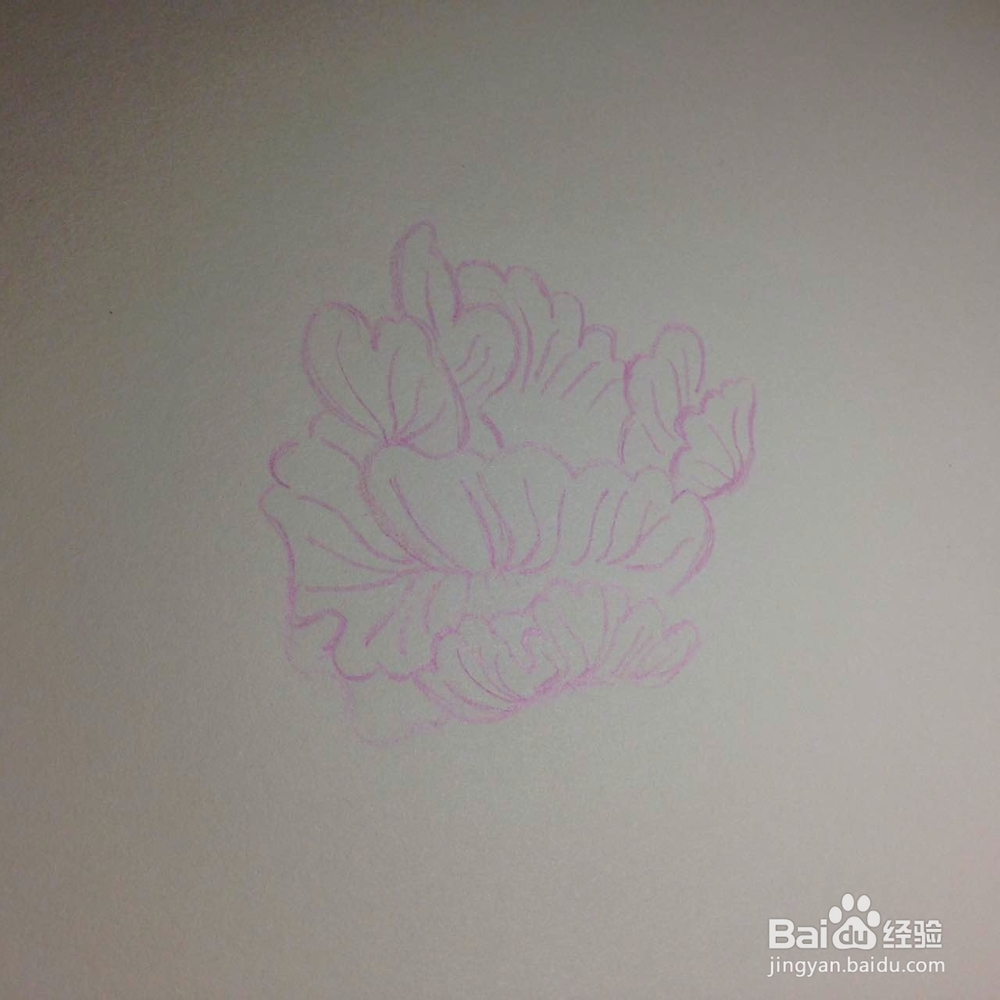 如何用彩色铅笔绘牡丹花