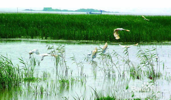山东省济宁旅游景点攻略