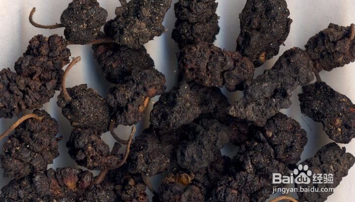 吃桑葚的好处和注意事项