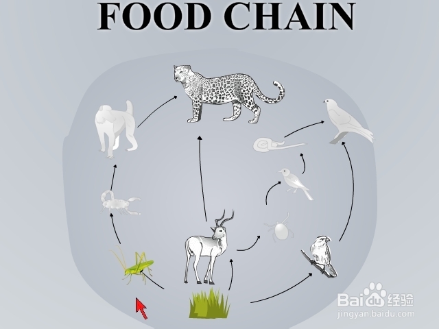 驯鹿逃离雪山攻略：[2]