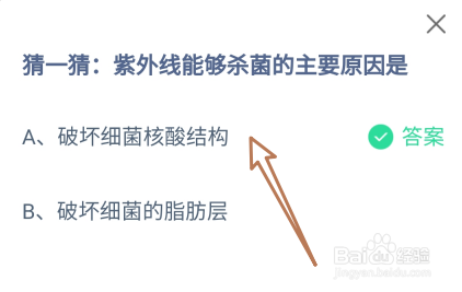 蚂蚁庄园答案紫外线能够杀菌的主要原因是