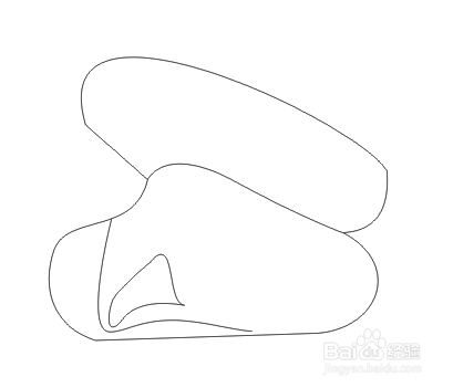 缢蛏的内部结构简笔画