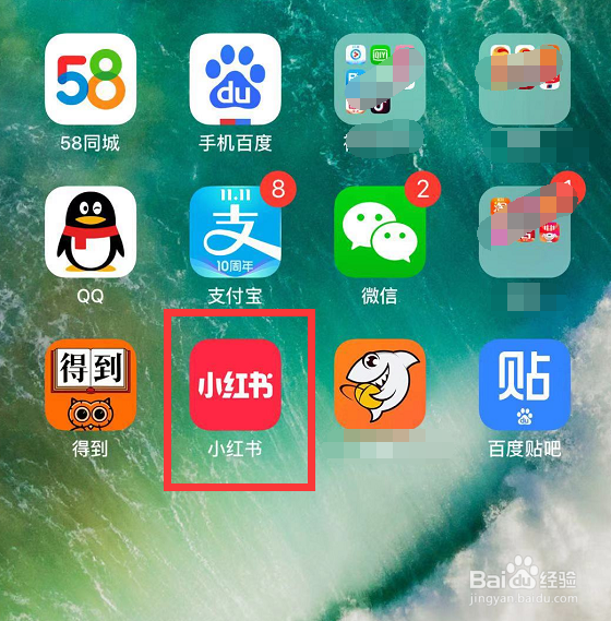 怎样设置小红书仅在wifi下自动播放视频